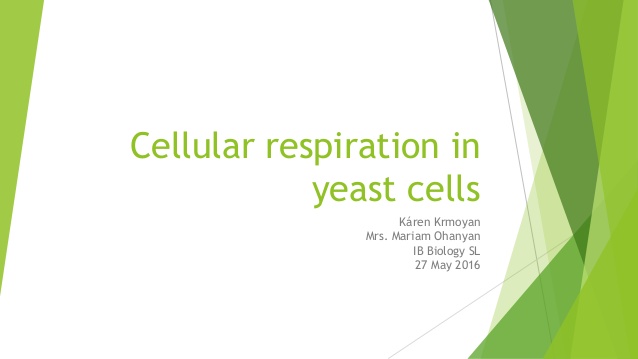 Cellular respiration lab report