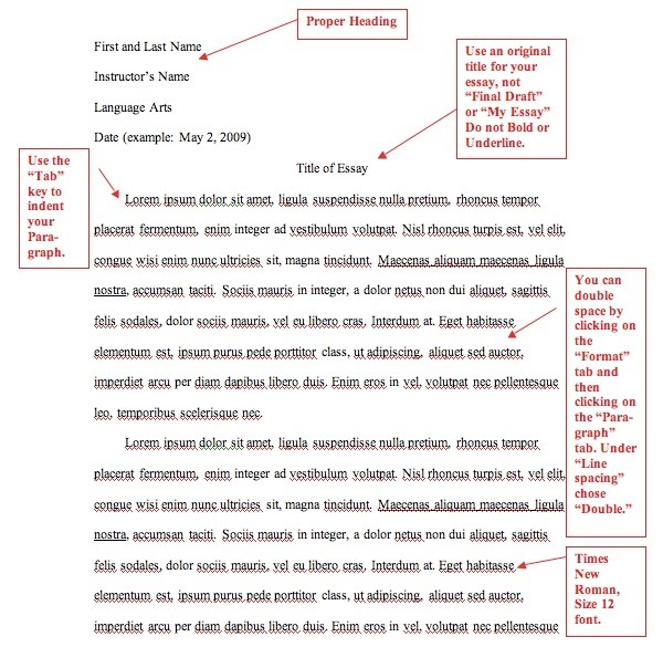 Outline Structure for Literary Analysis Essay.