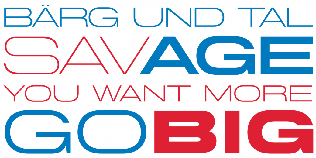 Max miedinger essay picture